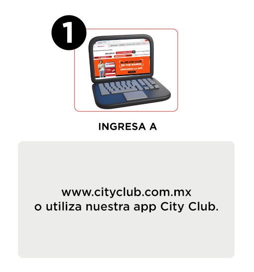 Contenido